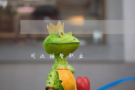 司法辅警职业 司法辅警职业