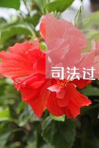 司法过户需不需要过户费 司法过户需不需要过户费