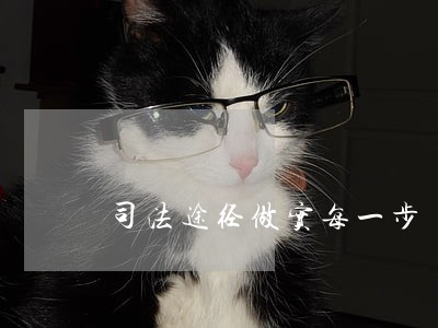 司法途径做实每一步 司法途径做实每一步