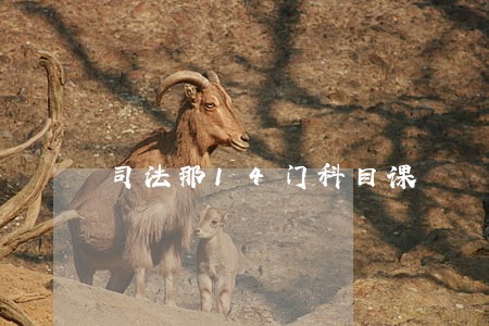 司法那14门科目课 司法那14门科目课