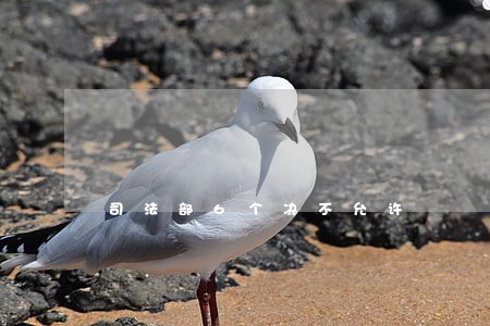 司法部6个决不允许 司法部6个决不允许