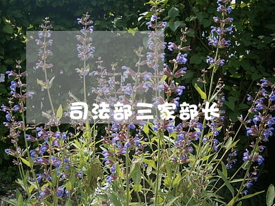 司法部三家部长 司法部三家部长