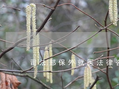 司法部保外就医法律咨询 司法部保外就医法律咨询
