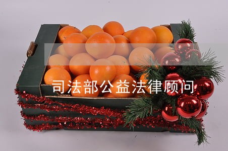 司法部公益法律顾问 司法部公益法律顾问