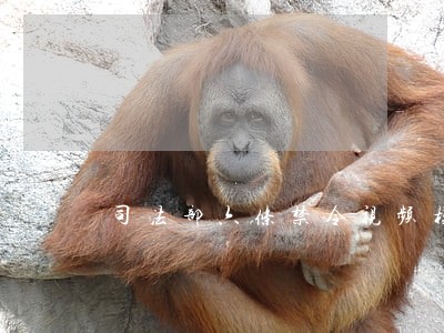 司法部六条禁令视频模板图片大全