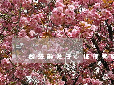 司法部关于c证律师执业批复 司法部关于c证律师执业批复