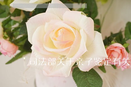司法部关于亲子鉴定有关规定 司法部关于亲子鉴定有关规定