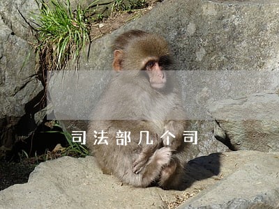 司法部几个司 司法部几个司
