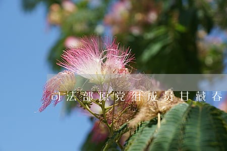 司法部原党组成员甘藏春 司法部原党组成员甘藏春