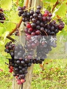 司法部外国人永久居留权投票 司法部外国人永久居留权投票