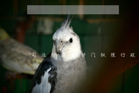 司法部属于部门权限行政机关 司法部属于部门权限行政机关
