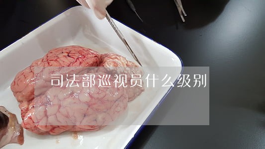 司法部巡视员什么级别 司法部巡视员什么级别