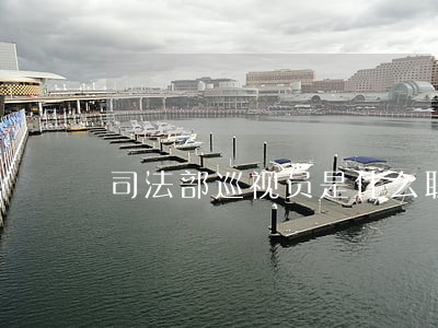 司法部巡视员是什么职务