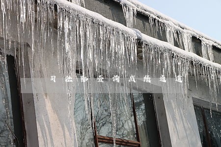 司法部查询成绩通道