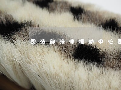 司法部法律援助中心面试 司法部法律援助中心面试