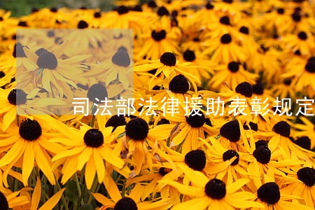司法部法律援助表彰规定 司法部法律援助表彰规定