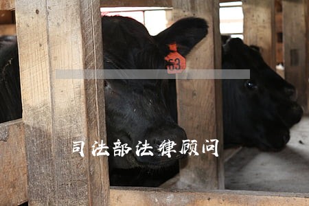 司法部法律顾问 司法部法律顾问