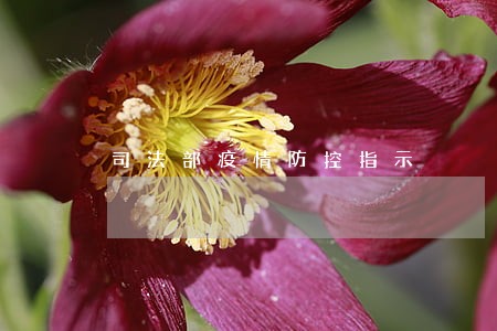 司法部疫情防控指示 司法部疫情防控指示
