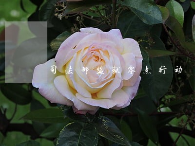 司法部监狱零点行动 司法部监狱零点行动