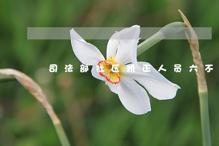 司法部社区矫正人员六不准 司法部社区矫正人员六不准