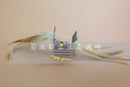 司法部立法局调研 司法部立法局调研