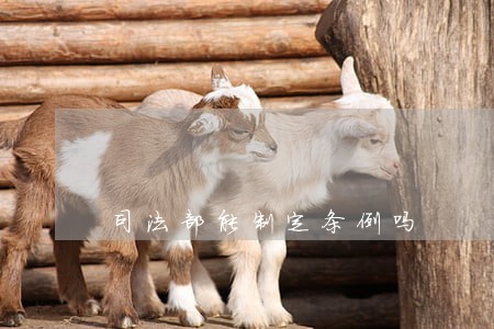 司法部能制定条例吗