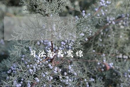 司法部长震惊 司法部长震惊
