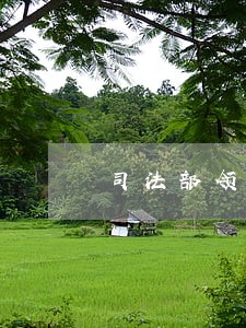 司法部领导班子成员名单 司法部领导班子成员名单