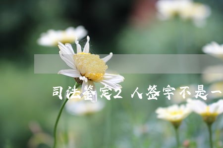 司法鉴定2人签字不是一个人