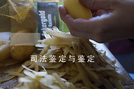 司法鉴定与鉴定
