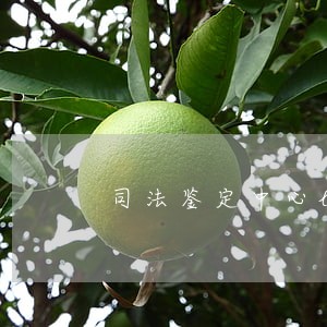 司法鉴定中心logo图片 司法鉴定中心logo图片