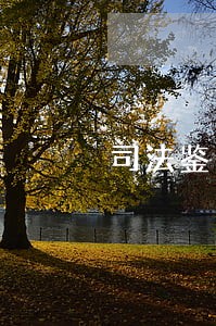 司法鉴定主要鉴定什么 司法鉴定主要鉴定什么