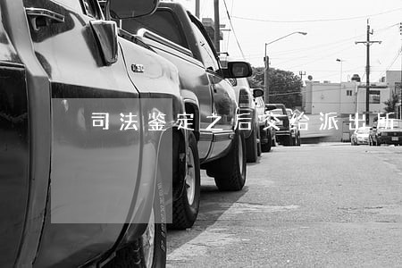 司法鉴定之后交给派出所 司法鉴定之后交给派出所