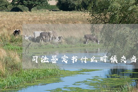 司法鉴定书什么时候交当事人 司法鉴定书什么时候交当事人