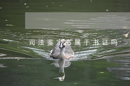 司法鉴定书属于书证吗