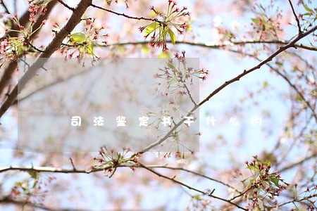 司法鉴定书干什么的 司法鉴定书干什么的
