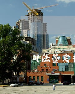 司法鉴定书给被告么