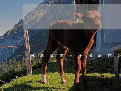 司法鉴定人不出庭作证的情形 司法鉴定人不出庭作证的情形