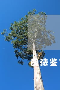 司法鉴定人应具备哪些条件