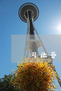 司法鉴定人执业申请书怎么写 司法鉴定人执业申请书怎么写