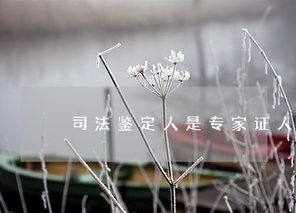 司法鉴定人是专家证人吗 司法鉴定人是专家证人吗