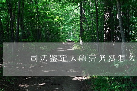 司法鉴定人的劳务费怎么计算
