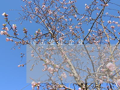 司法鉴定企业 司法鉴定企业