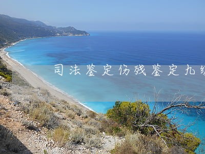 司法鉴定伤残鉴定九级