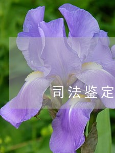 司法鉴定分几种 司法鉴定分几种