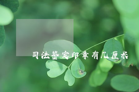 司法鉴定印章有几厘米 司法鉴定印章有几厘米