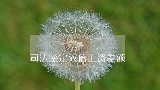 司法鉴定双倍工资差额 司法鉴定双倍工资差额
