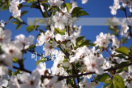 司法鉴定后起诉