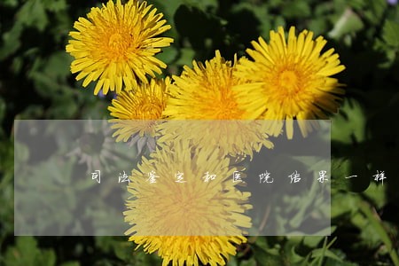 司法鉴定和医院结果一样吗