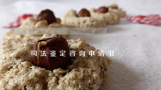 司法鉴定咨询申请书 司法鉴定咨询申请书